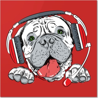 dog with headphone Posters and Art